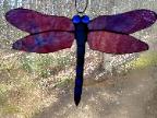 stained glass dragonfly