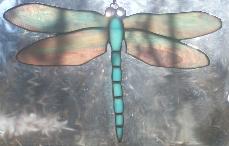 drgaonfly3