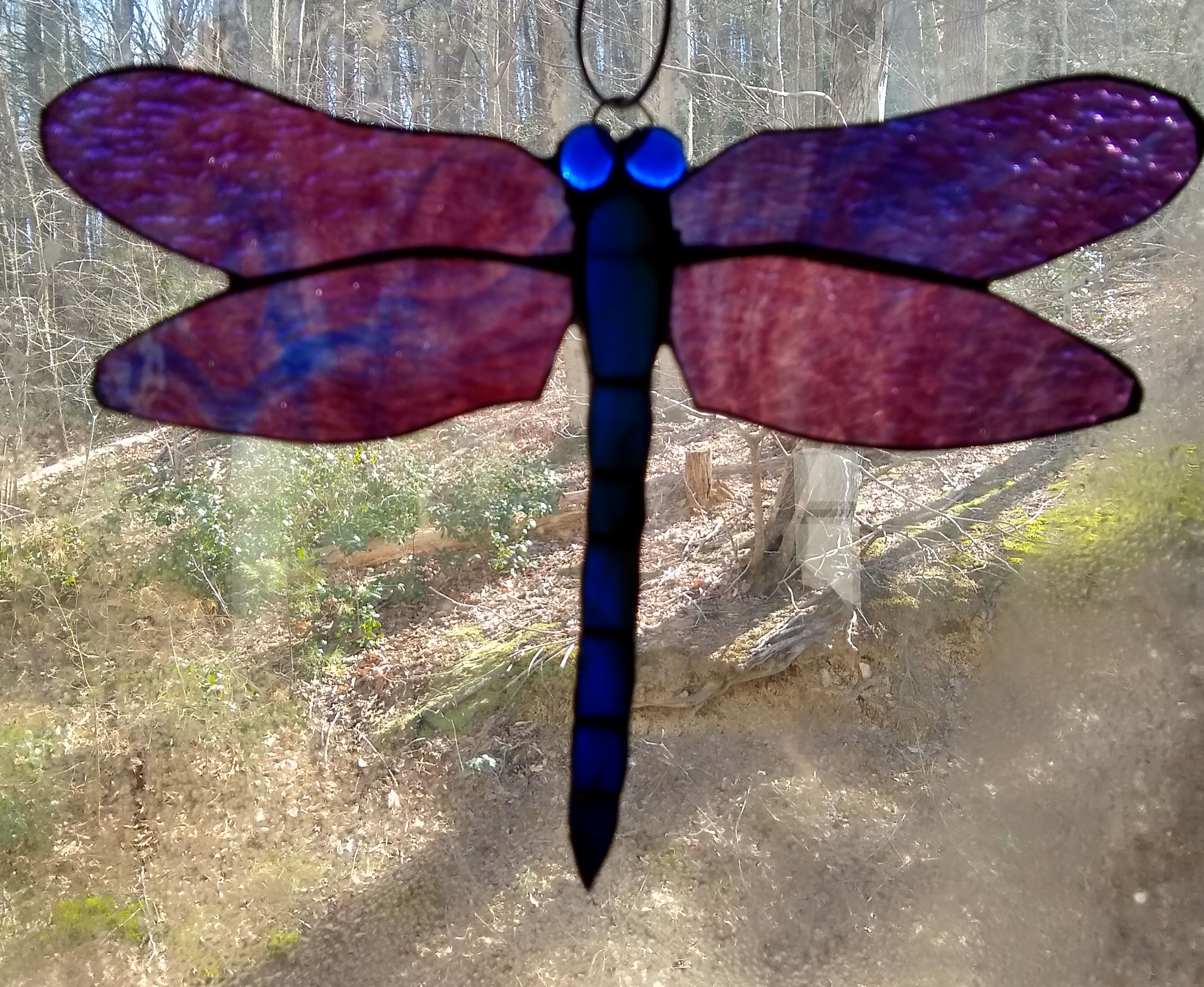 Stained Glass Dragonflies